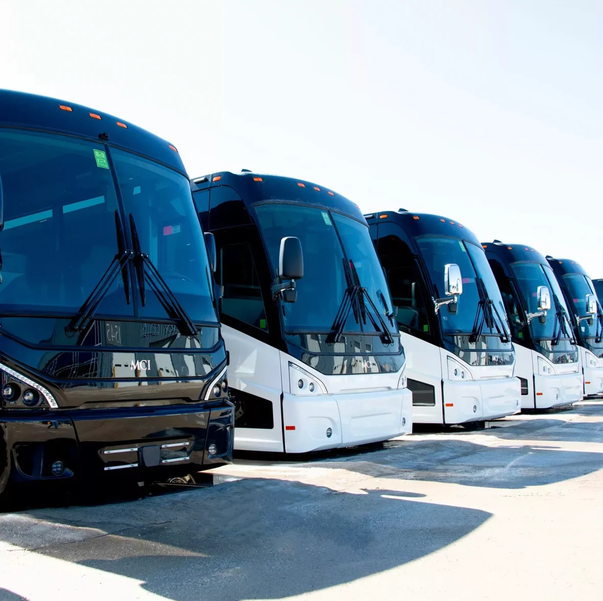 luxury coach buses